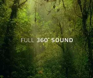 Dolby TrueHD Surround Sound Test – Leaf – File Download